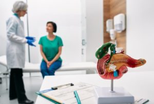 Patient talking with a gastroenterologist with an anatomical model showing the gallbladder in foreground