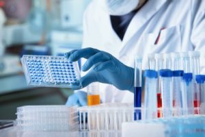 Gloved technician in medical lab plates patient samples for diagnostic tests